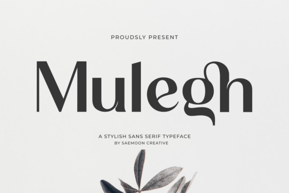 Mulegh: A Stylish Sans Serif for Branding