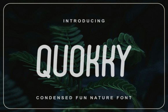 Quokky: A Sweet Sans Serif for Creative Projects
